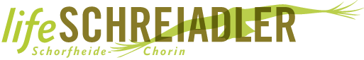 Logo Schreiadler